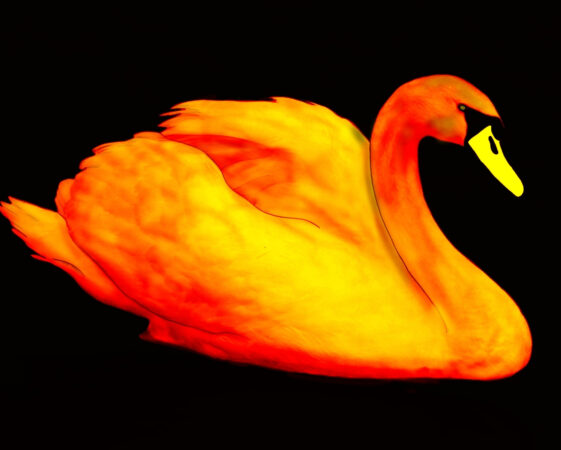Private credit after an orange swan event